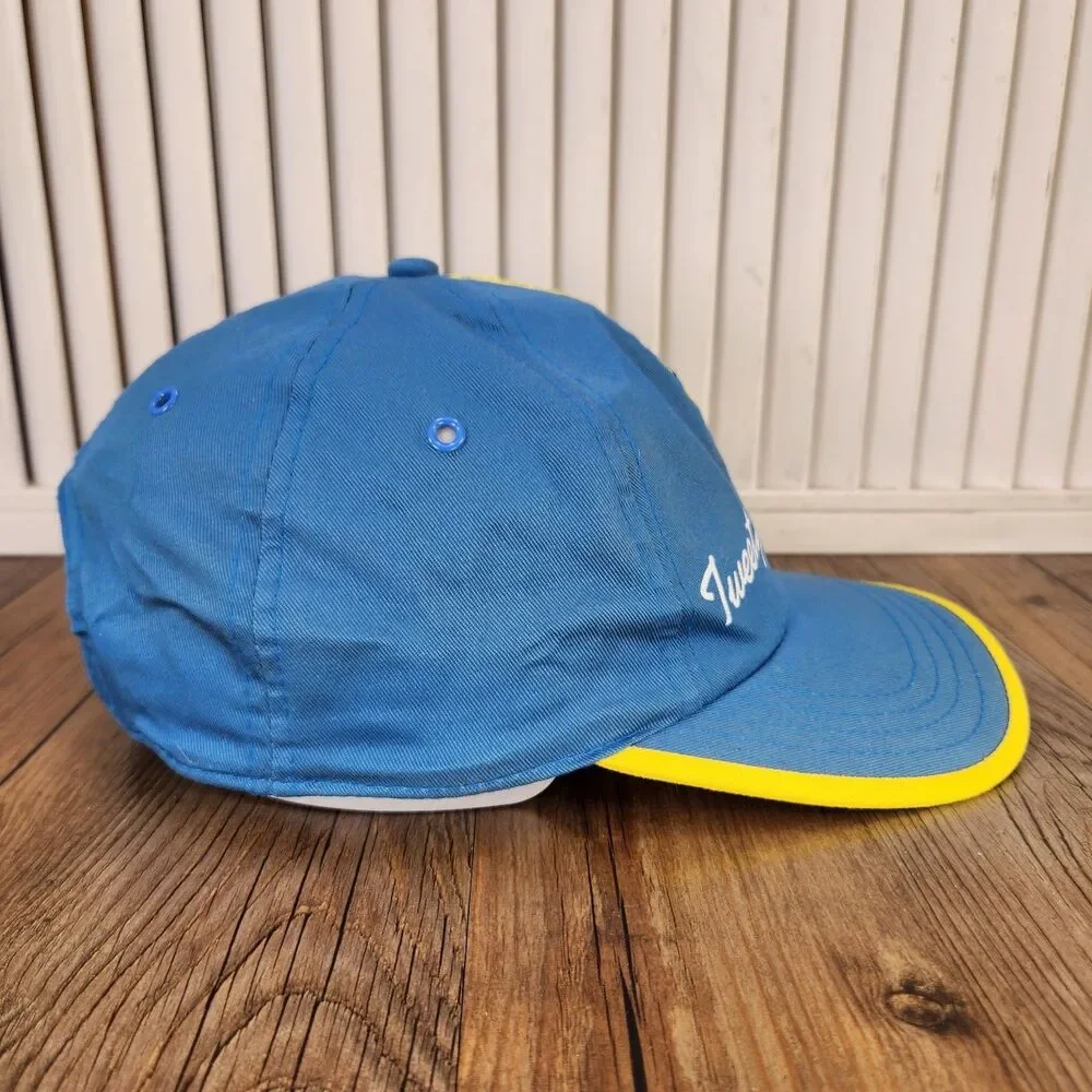 VTG 90s Looney Tunes Tweety Bird Snapback Hat Blue Yellow Adjustable Youth Cap